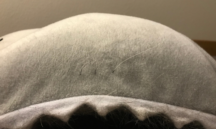 Whiskers