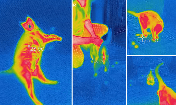 Through infrared