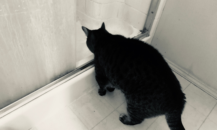 Shower Water